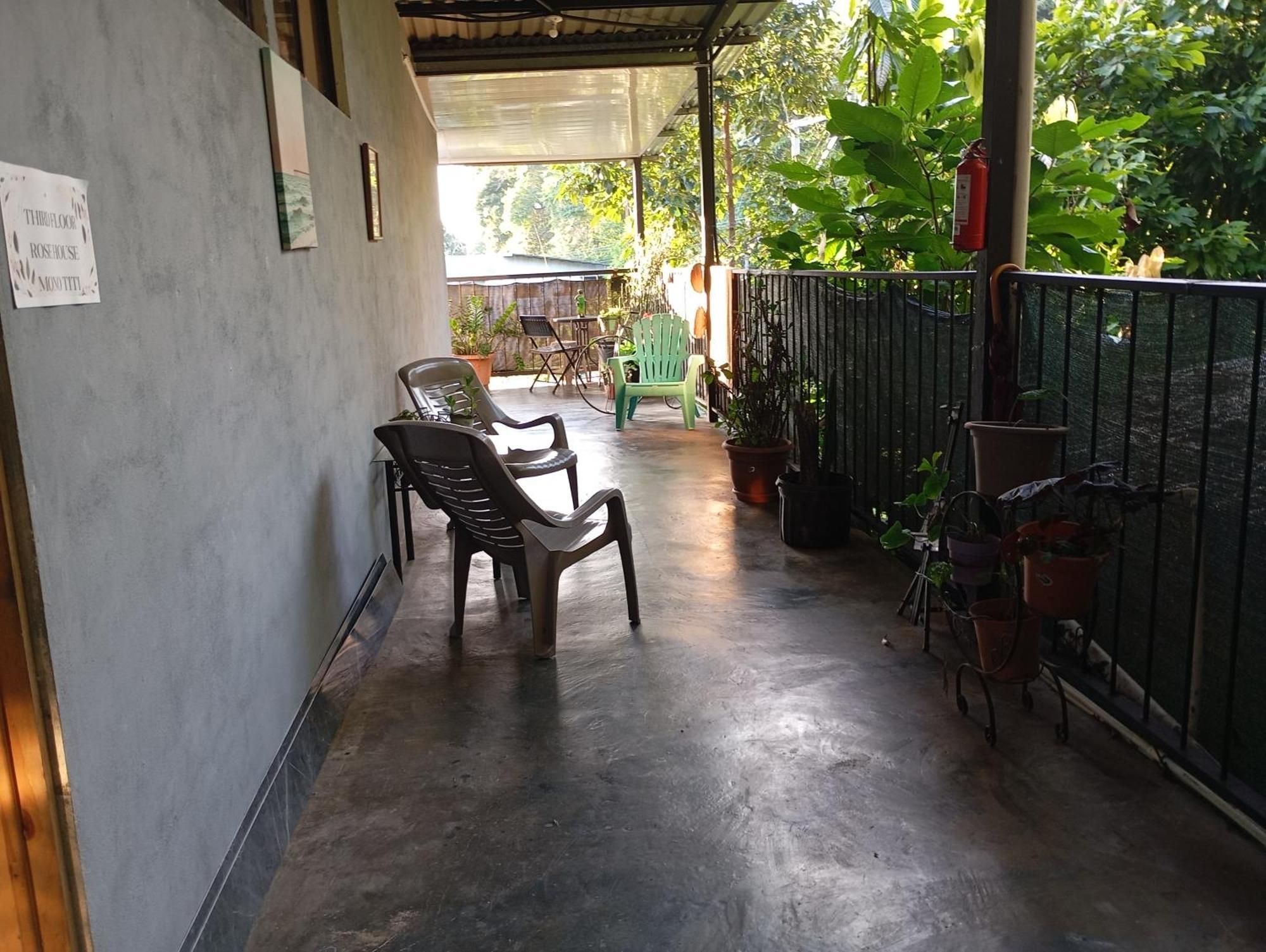 Mono Titi Third Floor Manuel Antonio